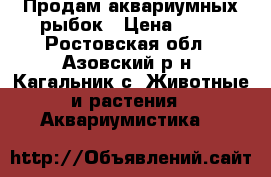 Продам аквариумных рыбок › Цена ­ 30 - Ростовская обл., Азовский р-н, Кагальник с. Животные и растения » Аквариумистика   